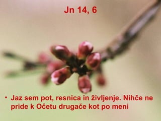Jn 14, 6 Jaz sem pot, resnica in življenje. Nihče ne pride k Očetu drugače kot po meni 