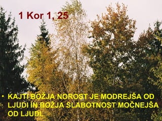 1 Kor 1, 25 KAJTI BOŽJA NOROST JE MODREJŠA OD LJUDI IN BOŽJA SLABOTNOST MOČNEJŠA OD LJUDI.  