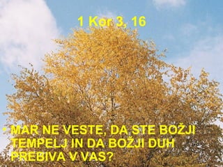 1 Kor 3, 16 MAR NE VESTE, DA STE BOŽJI TEMPELJ IN DA BOŽJI DUH PREBIVA V VAS?  