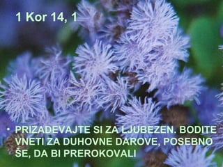 1 Kor 14, 1 PRIZADEVAJTE SI ZA LJUBEZEN. BODITE VNETI ZA DUHOVNE DAROVE, POSEBNO ŠE, DA BI PREROKOVALI 