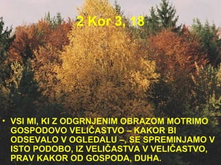 2 Kor 3, 18 VSI MI, KI Z ODGRNJENIM OBRAZOM MOTRIMO GOSPODOVO VELIČASTVO – KAKOR BI ODSEVALO V OGLEDALU –, SE SPREMINJAMO V ISTO PODOBO, IZ VELIČASTVA V VELIČASTVO, PRAV KAKOR OD GOSPODA, DUHA.  
