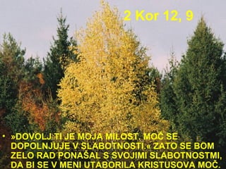 2 Kor 12, 9 »DOVOLJ TI JE MOJA MILOST. MOČ SE DOPOLNJUJE V SLABOTNOSTI.« ZATO SE BOM ZELO RAD PONAŠAL S SVOJIMI SLABOTNOSTMI, DA BI SE V MENI UTABORILA KRISTUSOVA MOČ.  