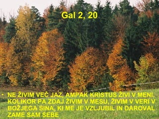 Gal 2, 20 NE ŽIVIM VEČ JAZ, AMPAK KRISTUS ŽIVI V MENI. KOLIKOR PA ZDAJ ŽIVIM V MESU, ŽIVIM V VERI V BOŽJEGA SINA, KI ME JE VZLJUBIL IN DAROVAL ZAME SAM SEBE  