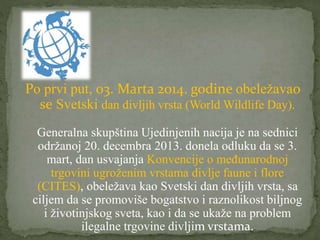 Po prvi put, 03. Marta 2014. godine obeležavao
se Svetski dan divljih vrsta (World Wildlife Day).
Generalna skupština Ujedinjenih nacija je na sednici
održanoj 20. decembra 2013. donela odluku da se 3.
mart, dan usvajanja Konvencije o međunarodnoj
trgovini ugroženim vrstama divlje faune i flore
(CITES), obeležava kao Svetski dan divljih vrsta, sa
ciljem da se promoviše bogatstvo i raznolikost biljnog
i životinjskog sveta, kao i da se ukaže na problem
ilegalne trgovine divljim vrstama.
 