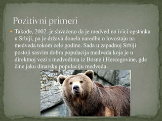  Takođe, 2002. je shvaćeno da je medved na ivici opstanka
u Srbiji, pa je država donela naredbu o lovostaju na
medveda tokom cele godine. Sada u zapadnoj Srbiji
postoji sasvim dobra populacija medveda koja je u
direktnoj vezi s medvedima iz Bosne i Hercegovine, gde
čine jaku dinarsku populaciju medveda.
 