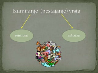 PRIRODNO VEŠTAČKO
 