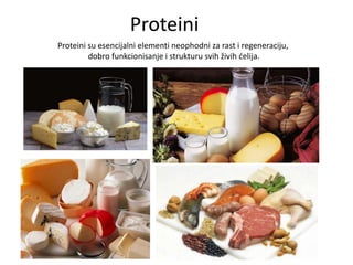 Proteini
Proteini su esencijalni elementi neophodni za rast i regeneraciju,
dobro funkcionisanje i strukturu svih živih delija.

 
