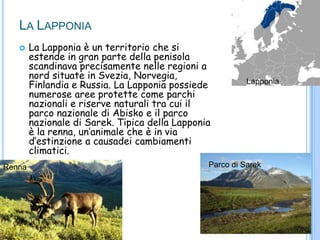 LA LAPPONIA
 La Lapponia è un territorio che si
estende in gran parte della penisola
scandinava precisamente nelle regioni a
nord situate in Svezia, Norvegia,
Finlandia e Russia. La Lapponia possiede
numerose aree protette come parchi
nazionali e riserve naturali tra cui il
parco nazionale di Abisko e il parco
nazionale di Sarek. Tipica della Lapponia
è la renna, un‟animale che è in via
d‟estinzione a causadei cambiamenti
climatici.
Lapponia
Parco di SarekRenna
 