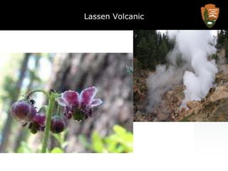 Lassen Volcanic