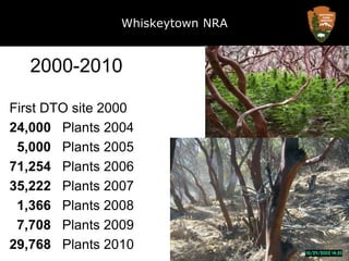 Whiskeytown NRA2000-2010First DTO site 200024,000   Plants 2004  5,000   Plants 200571,254   Plants 200635,222   Plants 20071,366   Plants 20087,708   Plants 200929,768   Plants 2010