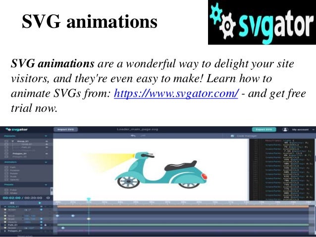 Svg Animation