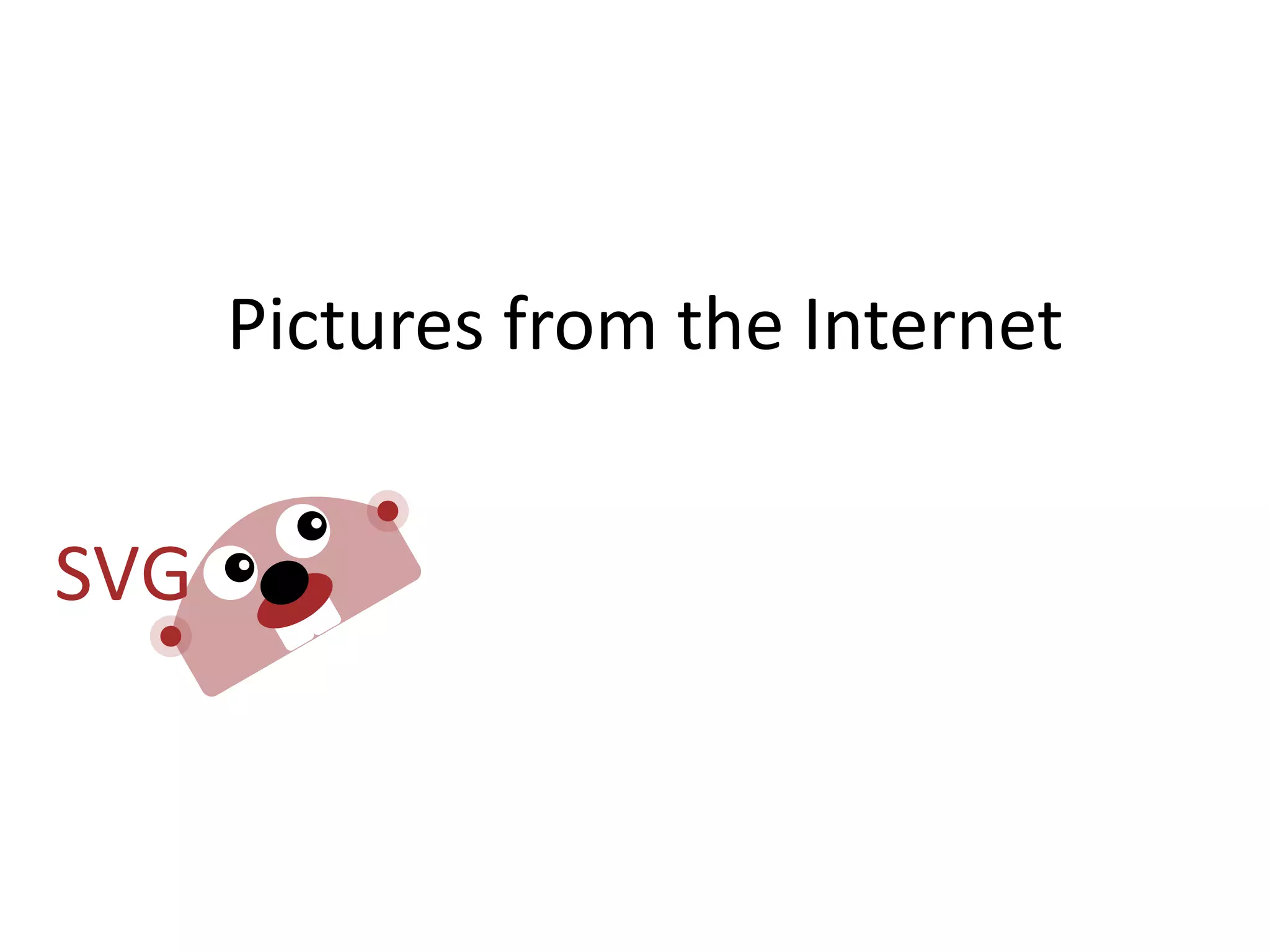 Pictures  from  the  Internet
 