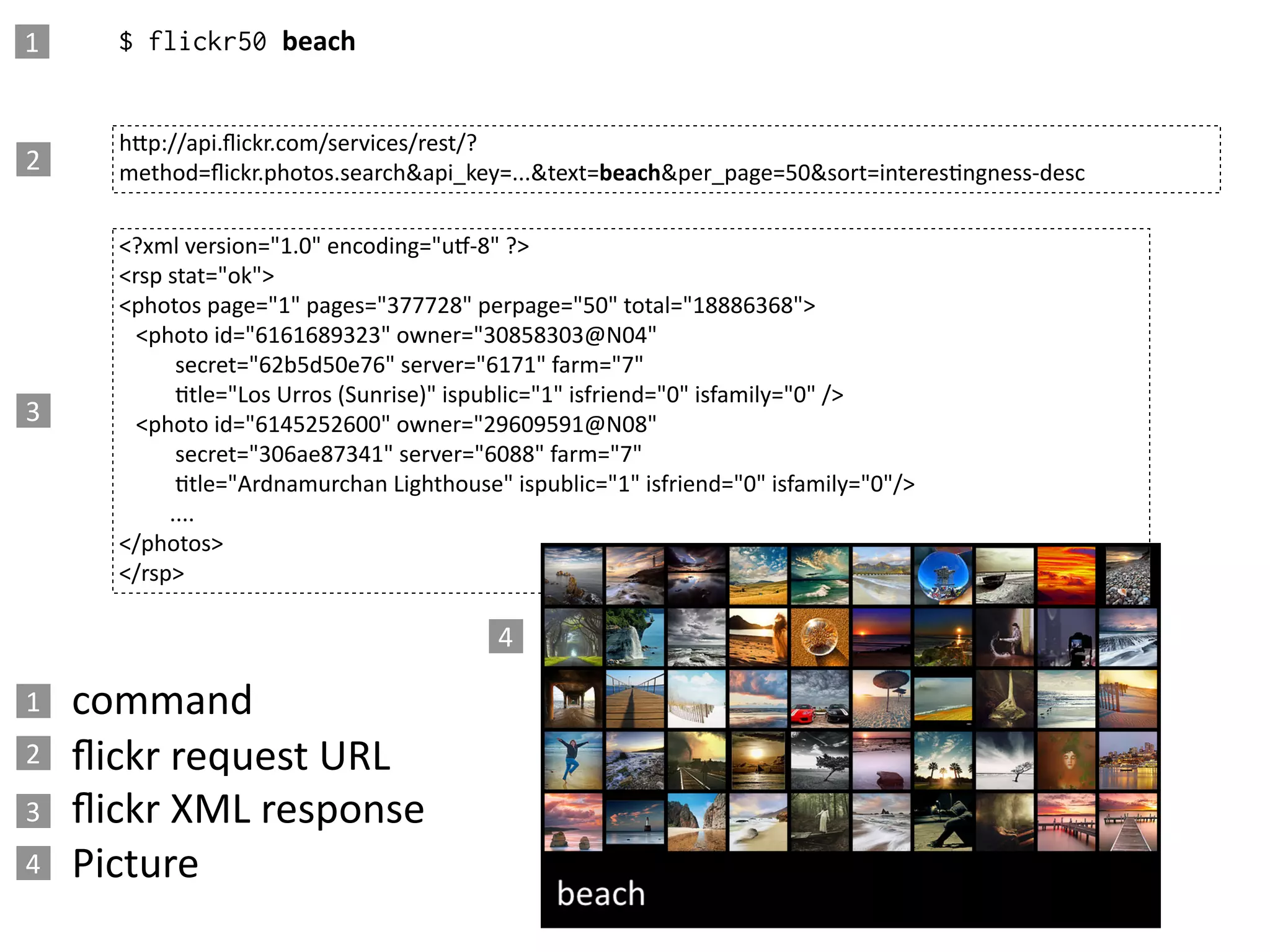 1     $ flickr50 beach


      h=p://api.ﬂickr.com/services/rest/?
2     method=ﬂickr.photos.search&api_key=...&text=beach&per_page=50&sort=interesEngness-­‐desc

      <?xml  version="1.0"  encoding="ug-­‐8"  ?>
      <rsp  stat="ok">
      <photos  page="1"  pages="377728"  perpage="50"  total="18886368">
            <photo  id="6161689323"  owner="30858303@N04"  
                          secret="62b5d50e76"  server="6171"  farm="7"  
                          Etle="Los  Urros  (Sunrise)"  ispublic="1"  isfriend="0"  isfamily="0"  />
3           <photo  id="6145252600"  owner="29609591@N08"  
                          secret="306ae87341"  server="6088"  farm="7"  
                          Etle="Ardnamurchan  Lighthouse"  ispublic="1"  isfriend="0"  isfamily="0"/>
                        ....
      </photos>
      </rsp>

                                                   4

1   command
2   ﬂickr  request  URL
3   ﬂickr  XML  response
4   Picture
 
