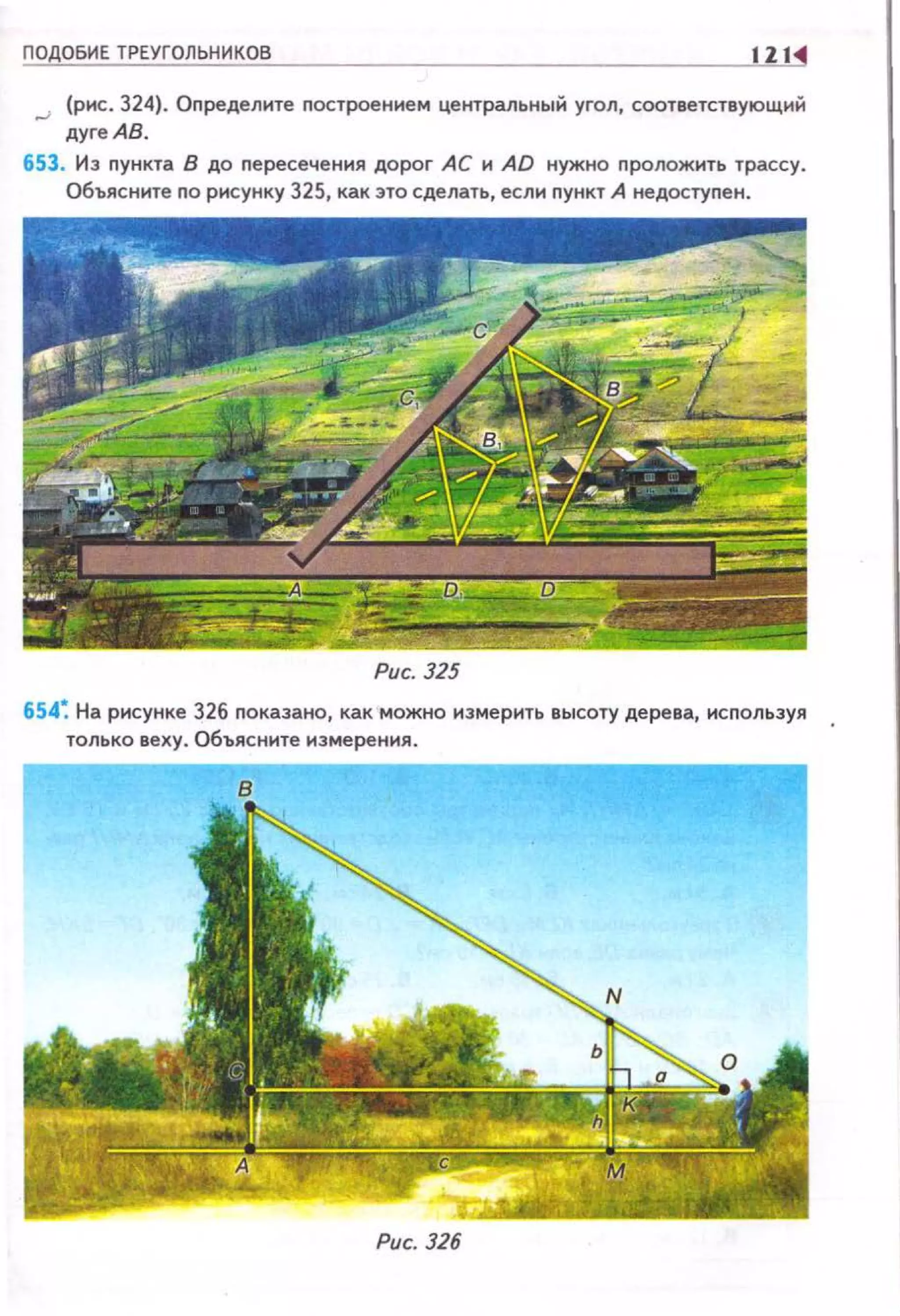 ПОДОБИЕ ТРЕУГОЛЬНИКОВ IZI
...; (рнс. 324). Оnределите nостроеннем центральный угол, соответствующий
дуге АВ.
653. Из nункта В до nересечения дорог АС н AD нужно nроложнть трассу.
Объясните по рисунку 325, как это сделать, еслн nункт А недостуnен.
Рис. JZ5
654~ На рисунке 326 nоказано, как можно нзмернть высоту дерева, используя
только веху. Объясните измерения.
Рис. 326
 