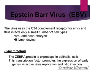 Herpesviridae Presentation | PPT