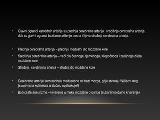 • Glavni ogranci karotidnih arterija su prednja cerebralna arterija i središnja cerebralna arterija,
dok su glavni ogranci bazilarne artterije desna i lijeva stražnja cerebralna arterija.
• Prednja cerebralna arterija - prednji i medijalni dio moždane kore
• Središnja cerebralna arterija – veći dio čeonoga, tjemenoga, sljepočnoga i zatiljnoga dijela
moždane kore
• Stražnja cerebralna arterija – stražnji dio moždane kore
• Cerebralne arterije komuniciraju međusobno na bazi mozga, gdje stvaraju Willisov krug
(svojevrsna kolaterala u slučaju opstrukcije!)
• Bobičaste aneurizme – krvarenje u meke moždane ovojnice (subarahnoidalno krvarenje)
 