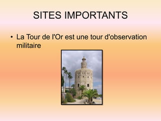 SITES IMPORTANTS
• La Tour de l'Or est une tour d'observation
militaire
 