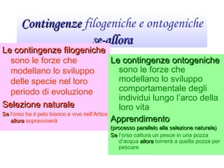 ContingenzeContingenze filogeniche e ontogeniche
se-allorase-allora
Le contingenze filogenicheLe contingenze filogeniche
sono le forze che
modellano lo sviluppo
delle specie nel loro
periodo di evoluzione
Selezione naturaleSelezione naturale
SeSe l’orso ha il pelo bianco e vive nell’Artico
alloraallora sopravviverà
Le contingenze ontogenicheLe contingenze ontogeniche
sono le forze che
modellano lo sviluppo
comportamentale degli
individui lungo l’arco della
loro vita
ApprendimentoApprendimento
(processo parallelo alla selezione naturale)(processo parallelo alla selezione naturale)
SeSe l’orso cattura un pesce in una pozza
d’acqua alloraallora tornerà a quella pozza per
pescare
 