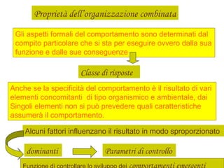 Proprietà dell’organizzazione combinata
Gli aspetti formali del comportamento sono determinati dal
compito particolare che si sta per eseguire ovvero dalla sua
funzione e dalle sue conseguenze
Classe di risposte
Anche se la specificità del comportamento è il risultato di vari
elementi concomitanti di tipo organismico e ambientale, dai
Singoli elementi non si può prevedere quali caratteristiche
assumerà il comportamento.
Alcuni fattori influenzano il risultato in modo sproporzionato
dominanti Parametri di controllo
 