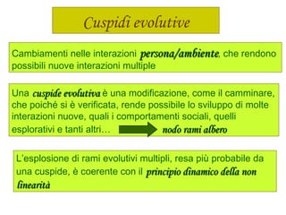Cuspidi evolutive
Cambiamenti nelle interazioni persona/ambientepersona/ambiente, che rendono
possibili nuove interazioni multiple
Una cuspide evolutivacuspide evolutiva è una modificazione, come il camminare,
che poiché si è verificata, rende possibile lo sviluppo di molte
interazioni nuove, quali i comportamenti sociali, quelli
esplorativi e tanti altri… nodo rami alberonodo rami albero
L’esplosione di rami evolutivi multipli, resa più probabile da
una cuspide, è coerente con il principio dinamico della nonprincipio dinamico della non
linearitàlinearità
 