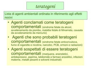 teratogeni
• Agenti conclamati come teratogeni
comportamentali (sindrome fetale da alcool,
avvelenamento da piombo, malattia fetale di Minamata, causata
da avvelenamento da mercurio)
• Agenti che sono probabili teratogeni
comportamentali (sindrome fetale anticonvulsiva,
fumo di sigarette e nicotina, narcotici, PCB, ormoni e radiazioni)
• Agenti sospettati di essere teratogeni
comportamentali (marijuana, anenstetici,
antidepressivi, aspirina, talidomide e farmaci ansiolitici, infezioni
materne, metalli pesanti e solventi industriali)
Lista di agenti ambientali ordinata in riferimento agli effetti
nocivi
 
