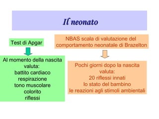 Il neonatoIl neonato
Test di Apgar
NBAS scala di valutazione del
comportamento neonatale di Brazelton
Al momento della nascita
valuta:
battito cardiaco
respirazione
tono muscolare
colorito
riflessi
Pochi giorni dopo la nascita
valuta:
20 riflessi innati
lo stato del bambino
le reazioni agli stimoli ambientali
 