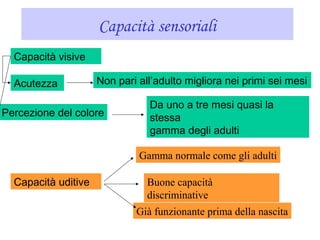Capacità sensoriali
Capacità visive
Capacità uditive
Gamma normale come gli adulti
Non pari all’adulto migliora nei primi sei mesiAcutezza
Percezione del colore
Buone capacità
discriminative
Già funzionante prima della nascita
Da uno a tre mesi quasi la
stessa
gamma degli adulti
 