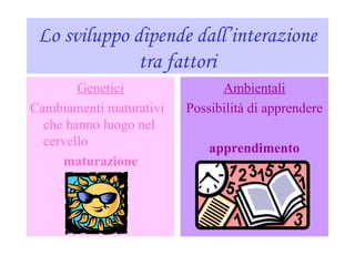 Lo sviluppo dipende dall’interazione
tra fattori
Genetici
Cambiamenti maturativi
che hanno luogo nel
cervello
maturazione
Ambientali
Possibilità di apprendere
apprendimento
 
