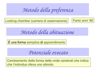 Metodo della preferenza
Looking chamber (camera di osservazione) Fantz anni ‘60
Metodo della abituazione
È una forma semplice di apprendimento
Potenziale evocato
Cambiamento della forma delle onde cerebrali che indica
che l’individuo rileva uno stimolo
 