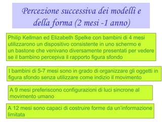 Percezione successiva dei modelli e
della forma (2 mesi -1 anno)
Philip Kellman ed Elizabeth Spelke con bambini di 4 mesi
utilizzarono un dispositivo consistente in uno schermo e
un bastone che venivano diversamente presentati per vedere
se il bambino percepiva il rapporto figura sfondo
I bambini di 5-7 mesi sono in grado di organizzare gli oggetti in
figura sfondo senza utilizzare come indizio il movimento
A 9 mesi preferiscono configurazioni di luci sincrone al
movimento umano
A 12 mesi sono capaci di costruire forme da un’informazione
limitata
 