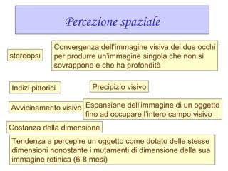 Percezione spaziale
stereopsi
Indizi pittorici
Convergenza dell’immagine visiva dei due occhi
per produrre un’immagine singola che non si
sovrappone e che ha profondità
Precipizio visivo
Avvicinamento visivo Espansione dell’immagine di un oggetto
fino ad occupare l’intero campo visivo
Costanza della dimensione
Tendenza a percepire un oggetto come dotato delle stesse
dimensioni nonostante i mutamenti di dimensione della sua
immagine retinica (6-8 mesi)
 