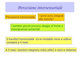 Percezione intersensoriale
Percezione transmodale I sensi sono integrati
alla nascita?
I bambini piccoli provano disagio di fronte a
Incongruenze sensoriali
Il transfert transmodale tra le modalità visive e uditive
compare a 4 mesi
A 5 mesi i bambini integrano indizi uditivi e visivi e distanza
 