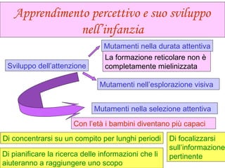 Apprendimento percettivo e suo sviluppo
nell’infanzia
Sviluppo dell’attenzione
Mutamenti nella durata attentiva
La formazione reticolare non è
completamente mielinizzata
Mutamenti nell’esplorazione visiva
Mutamenti nella selezione attentiva
Con l’età i bambini diventano più capaci di
Di concentrarsi su un compito per lunghi periodi
Di pianificare la ricerca delle informazioni che li
aiuteranno a raggiungere uno scopo
Di focalizzarsi
sull’informazione
pertinente
 