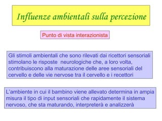 Influenze ambientali sulla percezione
Punto di vista interazionista
Gli stimoli ambientali che sono rilevati dai ricettori sensoriali
stimolano le risposte neurologiche che, a loro volta,
contribuiscono alla maturazione delle aree sensoriali del
cervello e delle vie nervose tra il cervello e i recettori
L’ambiente in cui il bambino viene allevato determina in ampia
misura il tipo di input sensoriali che rapidamente il sistema
nervoso, che sta maturando, interpreterà e analizzerà
 