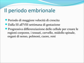 Il periodo embrionale
Periodo di maggiore velocità di crescita
Dalla III all’VIII settimana di gestazione
Progressiva differenziazione delle cellule per creare le
regioni corporee, i tessuti, cervello, midollo spinale,
organi di senso, polmoni, cuore, reni
 