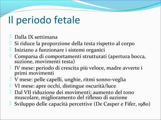 Il periodo fetale
 Dalla IX settimana
 Si riduce la proporzione della testa rispetto al corpo
 Iniziano a funzionare i sistemi organici
 Comparsa di comportamenti strutturati (apertura bocca,
suzione, movimenti testa)
 IV mese: periodo di crescita più veloce, madre avverte i
primi movimenti
 V mese: pelle capelli, unghie, ritmi sonno-veglia
 VI mese: apre occhi, distingue oscurità/luce
 Dal VII riduzione dei movimenti; aumento del tono
muscolare, miglioramento del riflesso di suzione
 Sviluppo delle capacità percettive (De Casper e Fifer, 1980)
 
