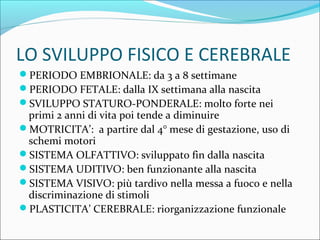 LO SVILUPPO FISICO E CEREBRALE
PERIODO EMBRIONALE: da 3 a 8 settimane
PERIODO FETALE: dalla IX settimana alla nascita
SVILUPPO STATURO-PONDERALE: molto forte nei
primi 2 anni di vita poi tende a diminuire
MOTRICITA’: a partire dal 4° mese di gestazione, uso di
schemi motori
SISTEMA OLFATTIVO: sviluppato fin dalla nascita
SISTEMA UDITIVO: ben funzionante alla nascita
SISTEMA VISIVO: più tardivo nella messa a fuoco e nella
discriminazione di stimoli
PLASTICITA’ CEREBRALE: riorganizzazione funzionale
 