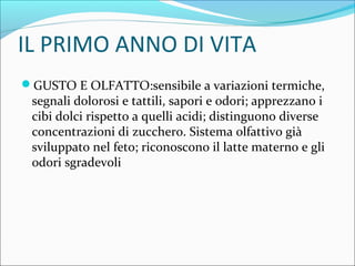 IL PRIMO ANNO DI VITA
GUSTO E OLFATTO:sensibile a variazioni termiche,
segnali dolorosi e tattili, sapori e odori; apprezzano i
cibi dolci rispetto a quelli acidi; distinguono diverse
concentrazioni di zucchero. Sistema olfattivo già
sviluppato nel feto; riconoscono il latte materno e gli
odori sgradevoli
 