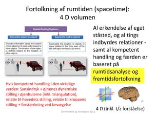 Fortolkning af rumtiden (spacetime):
4 D volumen
Svimmelhed og hovedpine 2015
10
Al erkendelse af eget
ståsted, og al tings
indbyrdes relationer -
samt al kompetent
handling og færden er
baseret på
rumtidsanalyse og
fremtidsfortolkning
4 D (inkl. t/z forståelse)
Hvis kompetent handling i den virkelige
verden: Synsindryk + øjnenes dynamiske
stilling i øjenhulerne (inkl. triangulation),
relativ til hovedets stilling, relativ til kroppens
stilling + forstærkning ved bevægelse
 
