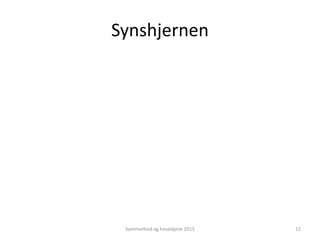 Synshjernen
Svimmelhed og hovedpine 2015 12
 