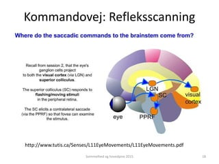 http://www.tutis.ca/Senses/L11EyeMovements/L11EyeMovements.pdf
Kommandovej: Refleksscanning
Svimmelhed og hovedpine 2015 18
 