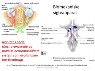 http://www.eyebrainpedia.com/En/Localisation/ongletLocalisation.html?page=TroncReticulee
Naturens perle:
Mest avancerede og
præcise neuromuskulære
system som evolutionen
har frembragt
Biomekaniske
sigteapparat
Svimmelhed og hovedpine 2015 32
 