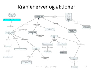 Kranienerver og aktioner
33Svimmelhed og hovedpine 2015
 
