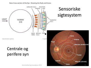 Sensoriske
sigtesystem
Centrale og
perifere syn
5Svimmelhed og hovedpine 2015
 