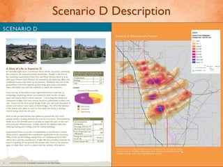 Scenario D Description 