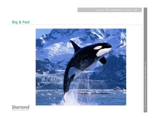 Big & Fast
                                                                        Layers: The information future
                                                                          | 32




© 2010 Diamond Management & Technology Consultants, Inc.
 