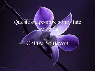 Queste diapositive sono state
         create da

     Chiara Schiavon
 