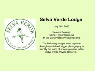 Selva Verde Lodge  July 10 th , 2010 Remote Sensing  Using Trigger Cameras In the Selva Verde Private Reserve The Following Images were captured through specialized trigger photography to identify the kinds of species present in the Selva Verde Private Reserve.  