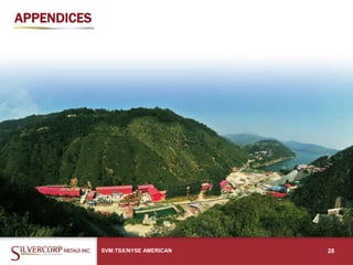 APPENDICES
SVM:TSX/NYSE AMERICAN 28
 