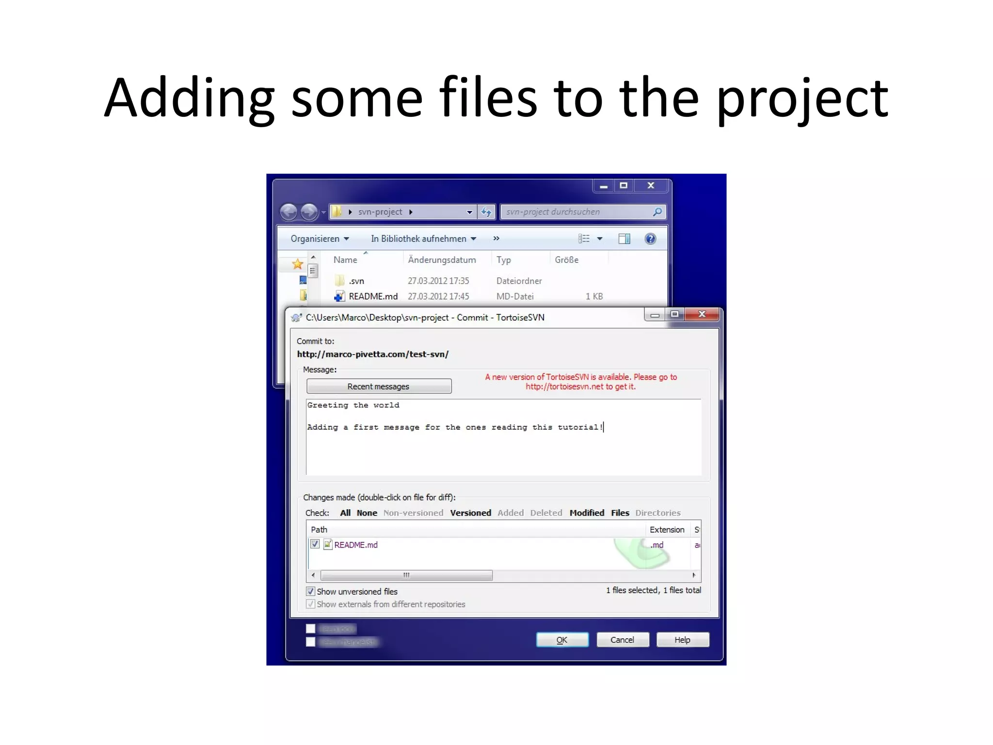 Adding some files to the project
 